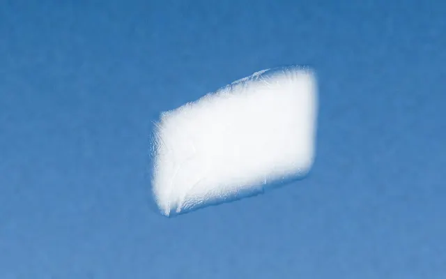 Logo 背景移除器
